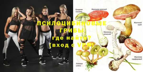 spice Алексеевка