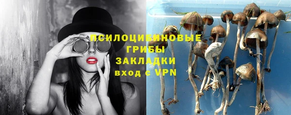 гидропоника Абдулино