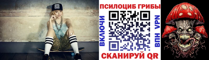 omg вход Сергач Псилоцибиновые грибы Cubensis